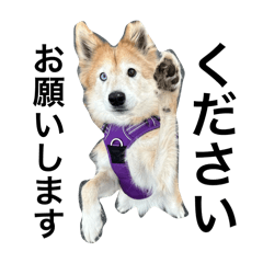 Seiman_20240427002403