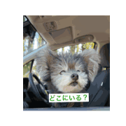 chigonu_20240427125740