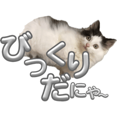 sarnya3_3