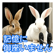 Rabbits who are forgetful