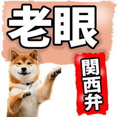 Presbyopic Kansai dog