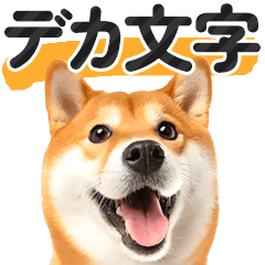 【デカ文字】柴犬写真のシンプルなスタンプ