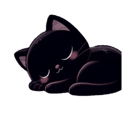 黒猫ちゃんの日常1