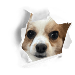 kappan_20240427185821