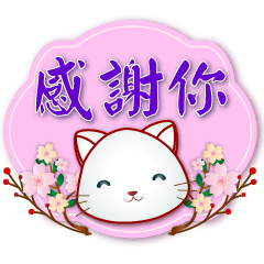 Cute white cat--useful phrases stickers