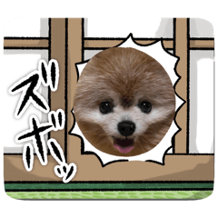 Junko_20240427210711