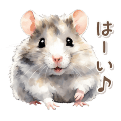 Campbell hamster