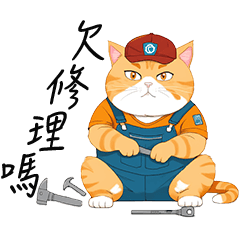 Changeable fat orange cat