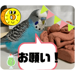 Haya-_20240428174608