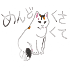 琉球大学農学部のミケ猫