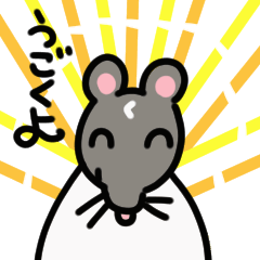 moving rat chutaro