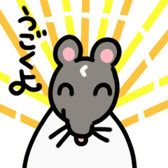 moving rat chutaro