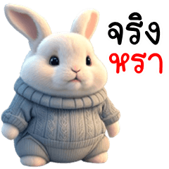 Cute rabbit (THAI)