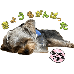 yuitan_20240428184016