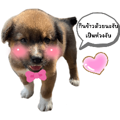 Gam_20240429134435