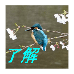 tomoken_20240427171350