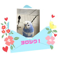 MITSUPON_20240428201134