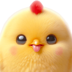 黃色小雞的日常用語