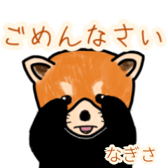Nagisa's lesser panda