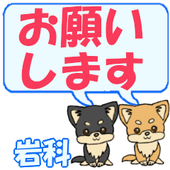 Iwashina's letters Chihuahua2
