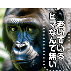 Anti-Aging Gorilla