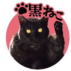Scary black cat Sticker