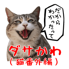 Dasakawa (Cat extra edition)