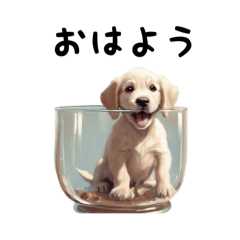 可愛い子犬のガラス張りだワン！