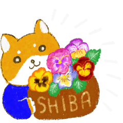 Enjoy spring! Shiba Inu stamp