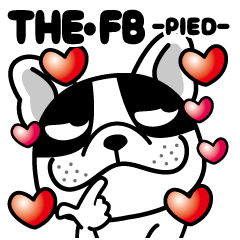 THE FRENCH BULLDOG (PIED)