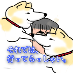 A man and Akita dogs