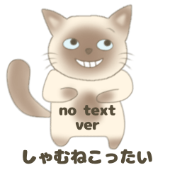 Siamese cat Thai _no text