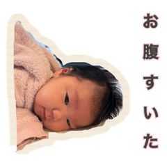 Suzukong_20240429213503