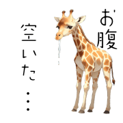 Everyday KIRIN