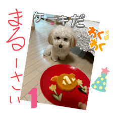 yumu_20240429201147