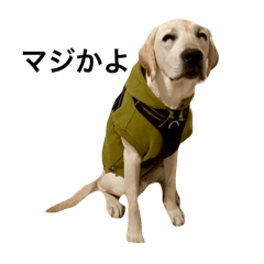 reirer017_20240429205817