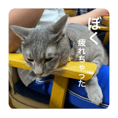 raku_20240429230154