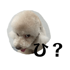 GUSIKENKENKEN_20240430005444