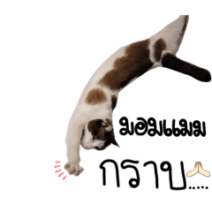 Kruoildari_20240430205225