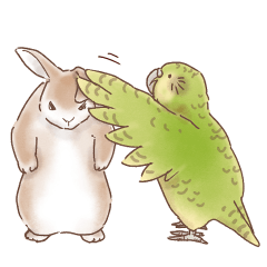 Kakapo and Rabbit