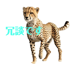 Cheetah 2.