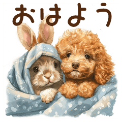 Cute Rabbit And Toy poodle