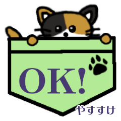 Yasusuke's Pocket Cat's