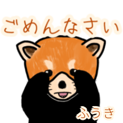 Fuuki's lesser panda