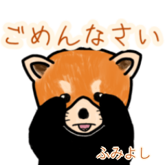Fumiyoshi's lesser panda