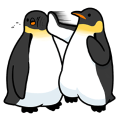 various emperor penguins