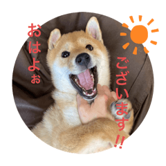 nanairo_20240430094717
