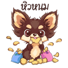 ลีโอ หมาน้อยชิวาวา เเสนซน (TH)