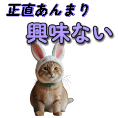 cat wearing a rabbit headgear