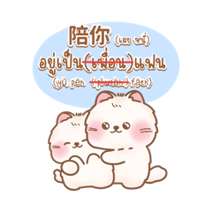 Cute cat lover (Chinese-Thai ver)